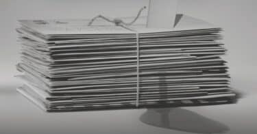 Natacha Levet et Benoît Tadié, Les femmes de la Série noire "Factrice, triste factrice", Dolores Hitchens (Détail) © Gallimard