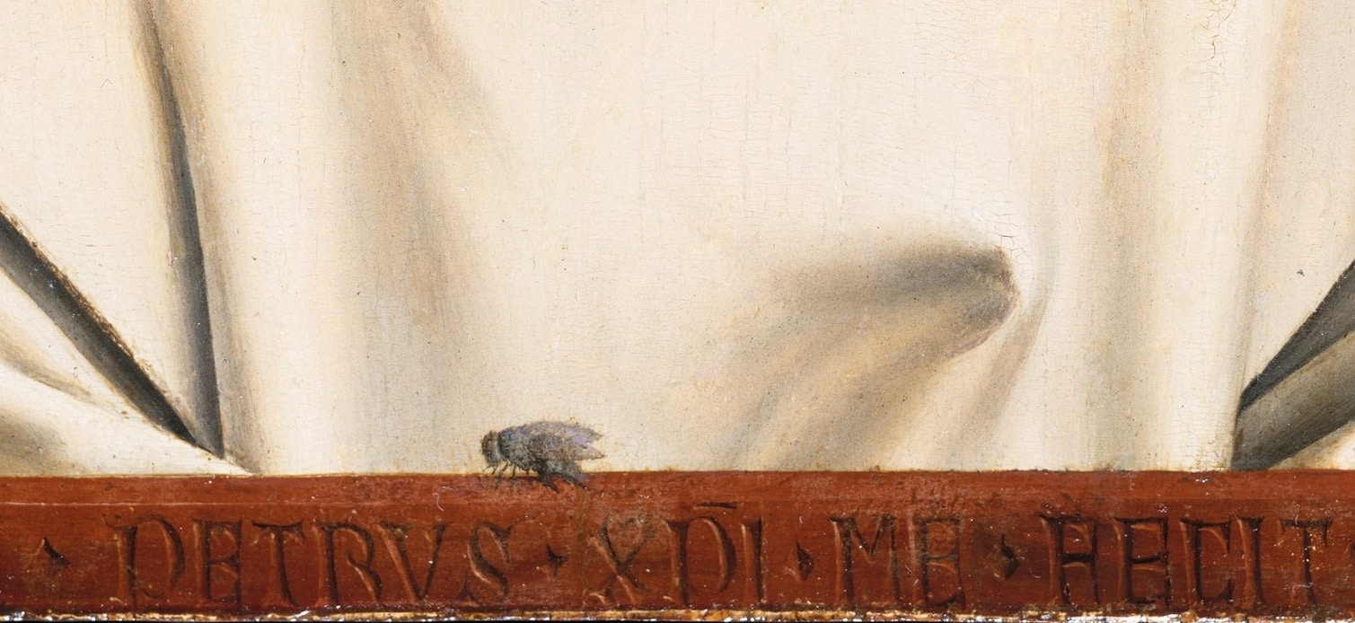 Peter Geimer Mouches. Un portrait