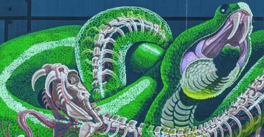 Dahlia de la Cerda, Mexico Médée