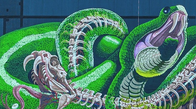 Dahlia de la Cerda, Mexico Médée