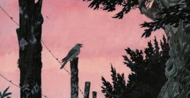 "Terre ou Lune", Jade Khoo (Détail) © Morgen, Amaury da Cunha, Touche fantôme, Max Horkheimer, Du Préjugé, Maria Sésé Sarvisé, Souvenirs d’une exilée espagnole 1936-1975, Megan Kamalei Kakimoto, Chaque goutte est un cauchemar pour l’homme