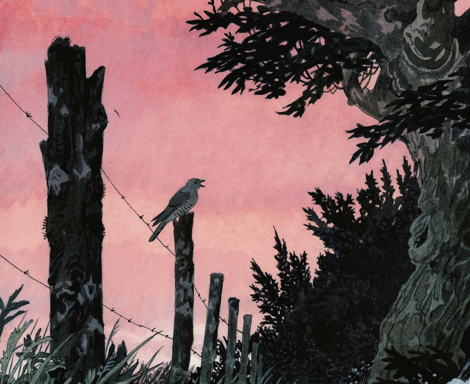 "Terre ou Lune", Jade Khoo (Détail) © Morgen, Amaury da Cunha, Touche fantôme, Max Horkheimer, Du Préjugé, Maria Sésé Sarvisé, Souvenirs d’une exilée espagnole 1936-1975, Megan Kamalei Kakimoto, Chaque goutte est un cauchemar pour l’homme