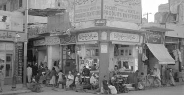 Naguib Mahfouz, Les cailles en automne