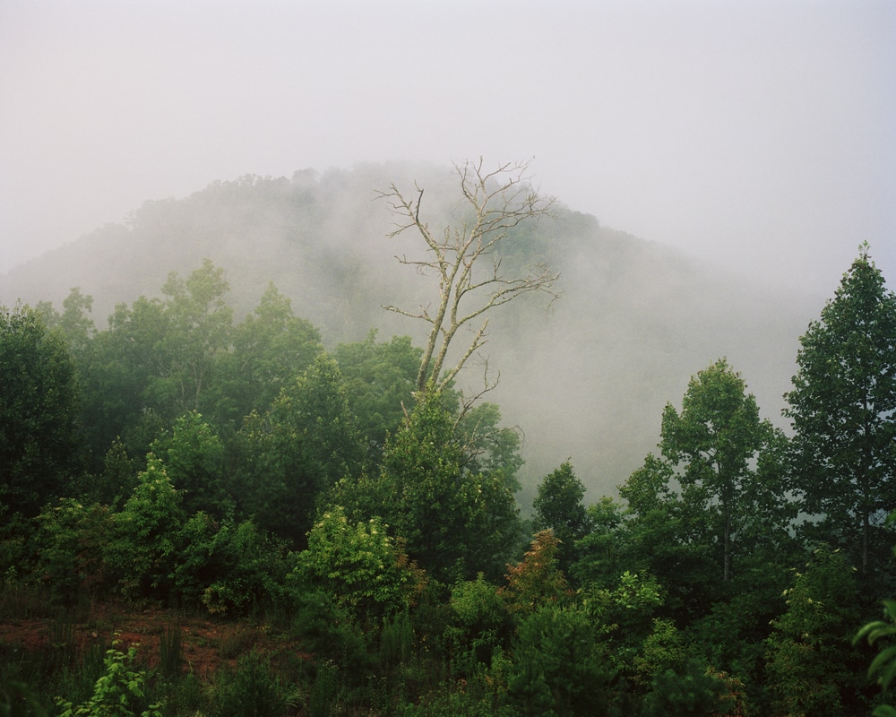 Élégie des Appalaches. Poésie et lieux. bell hooks