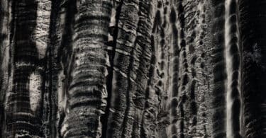 Inger Christensen. Ça. Traduit du danois et préface de Janine Poulsen (La rumeur libre, 2025) Inger Christensen. La vallée des papillons. Alphabet et autres poèmes.