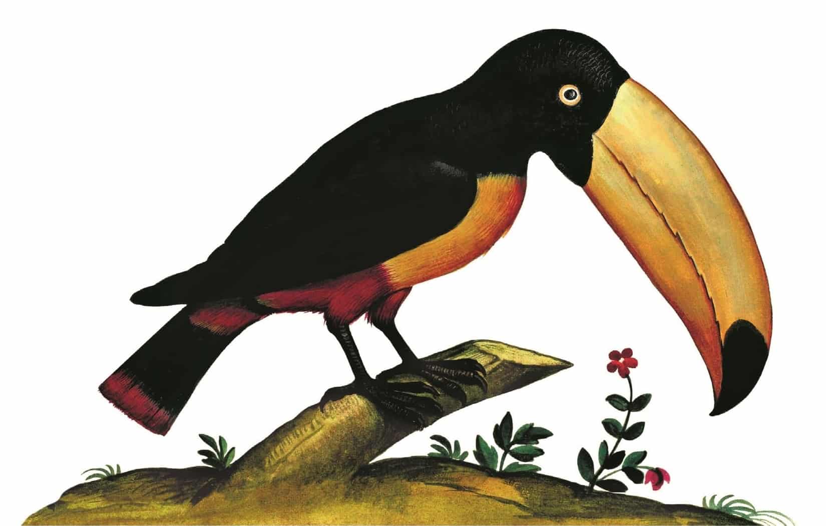 Un gamin à Rome", Chico Buarque (Détail) © Éditions Métailié Tom Simonite, Éthique fail, Jérôme Heurtaux, Le droit international est-il mort à Gaza ? Néhémy Dahomey, L’ordre immuable des choses,