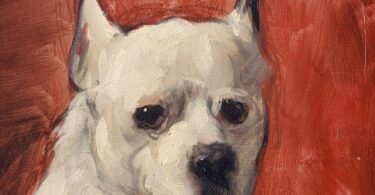 Pia Patersen, Dog Fiction,