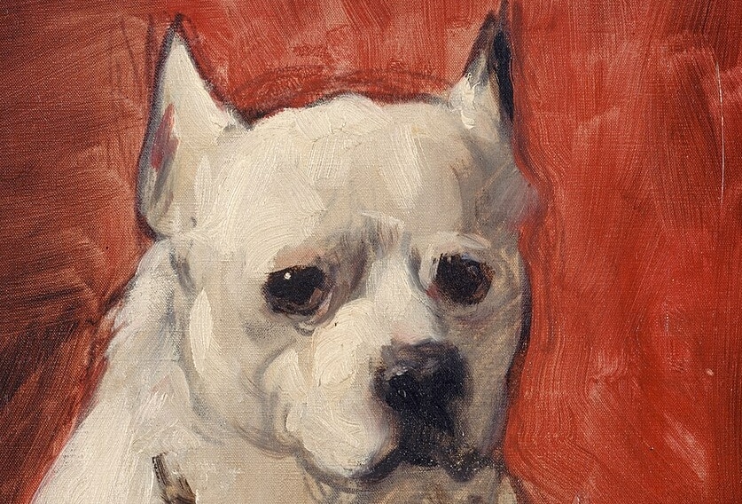 Pia Patersen, Dog Fiction,