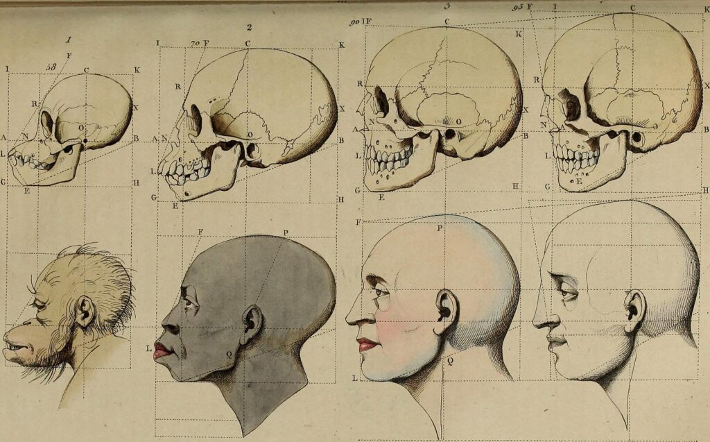 Régis Meyran, La racialisation du monde. De la modernité à nos jours,