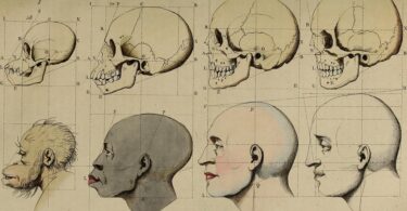 Régis Meyran, La racialisation du monde. De la modernité à nos jours,