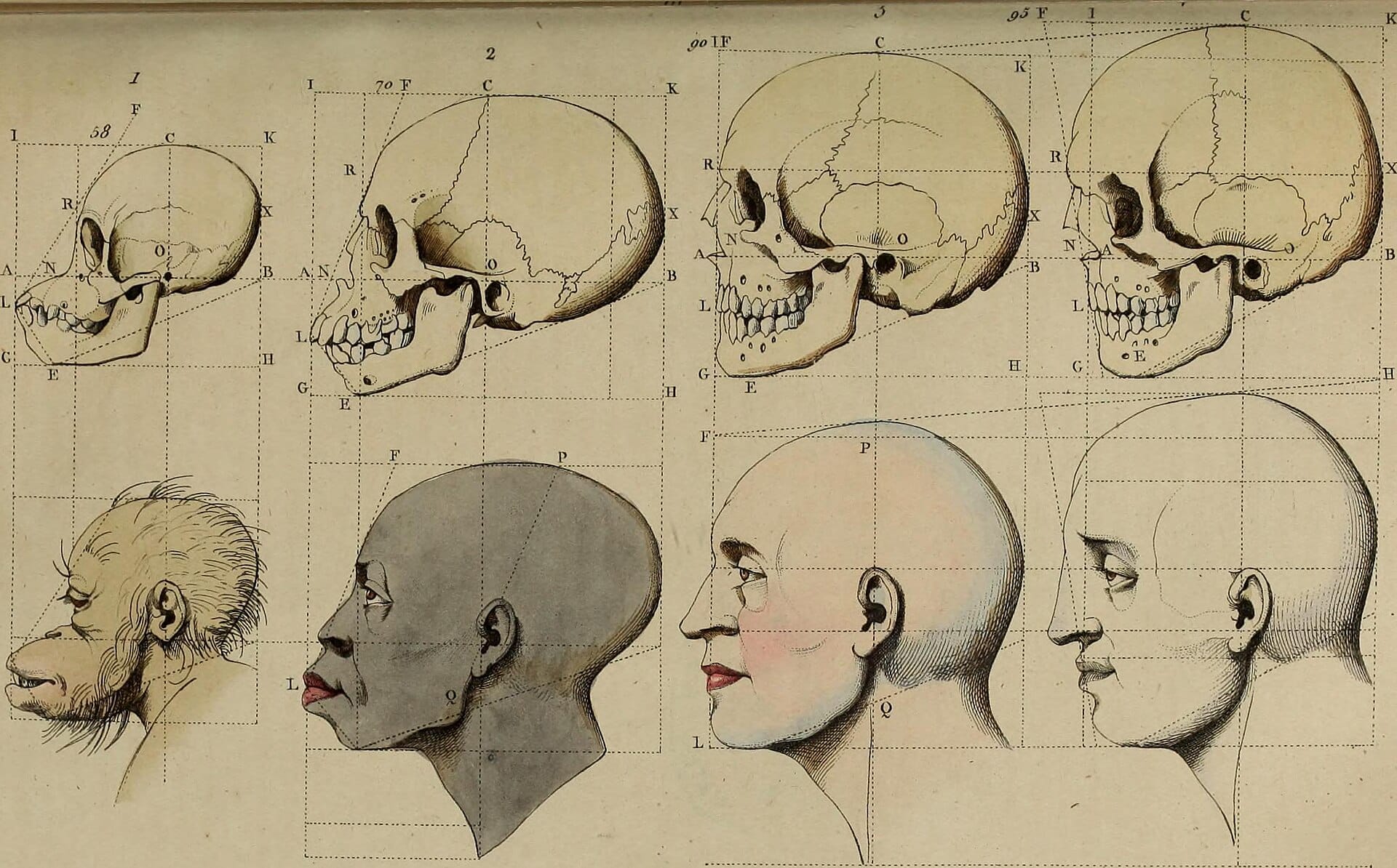 Régis Meyran, La racialisation du monde. De la modernité à nos jours,