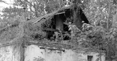 Galia Ackerman Le KGB à Tchernobyl. Une plongée inédite dans les archives ukrainiennes Sébastien Navarro Malvési, Christopher Hill, Le Monde à l’envers. Histoire des idées radicales dans la Révolution anglaise Michel Tremblay Paris en vrac