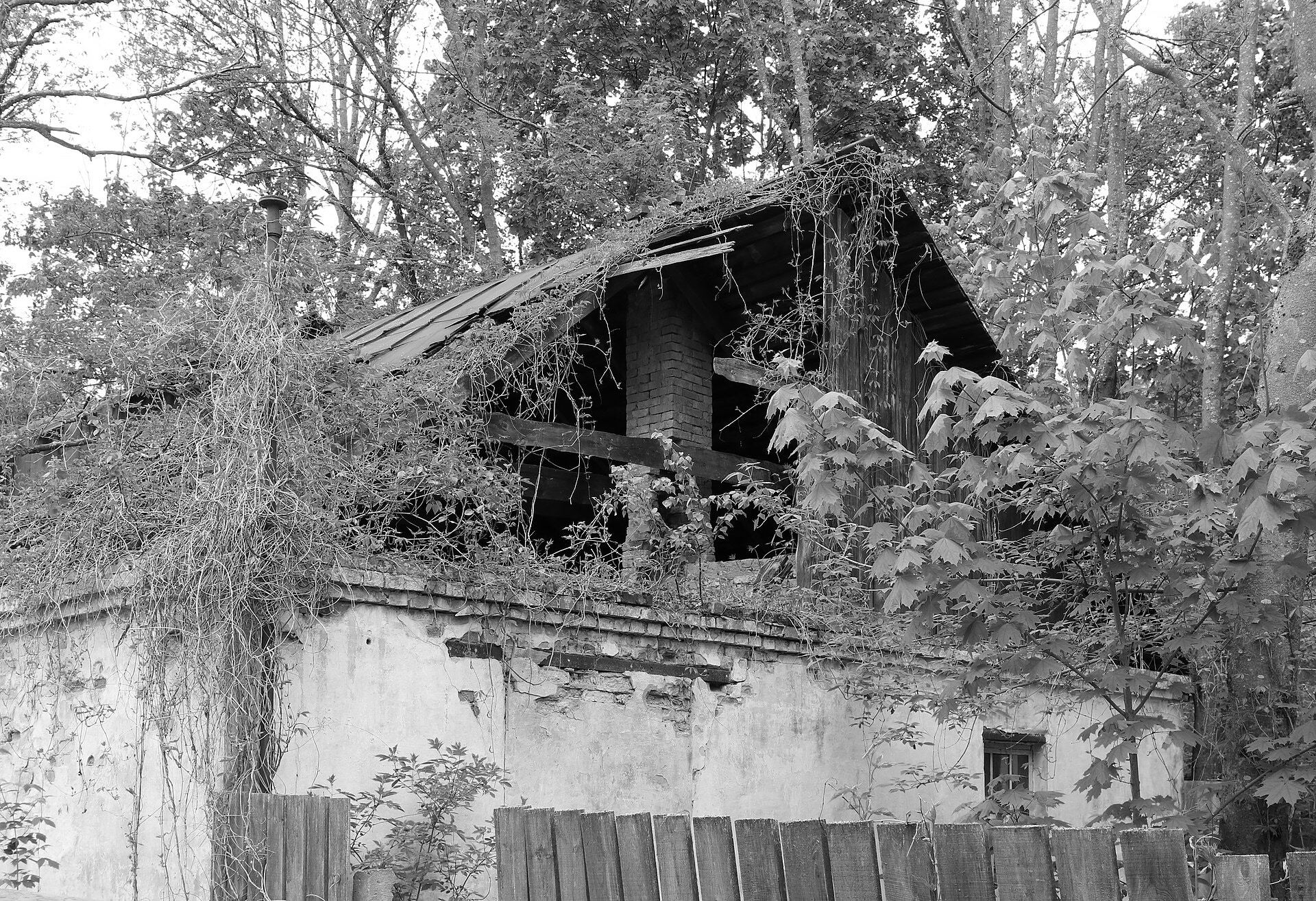 Galia Ackerman Le KGB à Tchernobyl. Une plongée inédite dans les archives ukrainiennes Sébastien Navarro Malvési, Christopher Hill, Le Monde à l’envers. Histoire des idées radicales dans la Révolution anglaise Michel Tremblay Paris en vrac