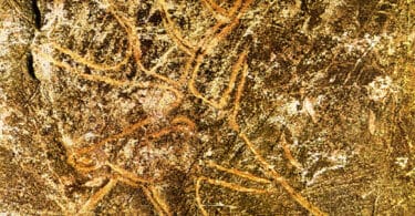 Stanislas Dehaene, Le rectangle de Lascaux : et Homo sapiens inventa la géométrie