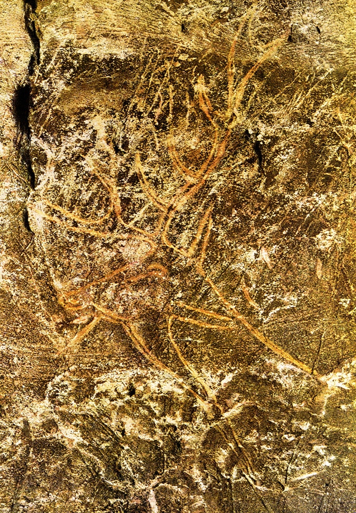 Stanislas Dehaene, Le rectangle de Lascaux : et Homo sapiens inventa la géométrie