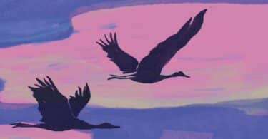 "Les grues volent vers le sud", Lisa Ridzén (Détail) © La Peuplade