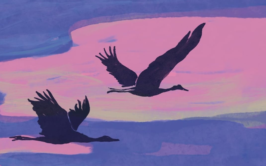 "Les grues volent vers le sud", Lisa Ridzén (Détail) © La Peuplade