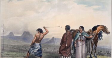 Moira Millán, Le Train de l’oubli (Itinéraire d’une guerrière mapuche en Patagonie), traduit de l’espagnol (Argentine) par Amanda Prat-Giral, Actes Sud, 490 p., 25 euros Moira Millán, Terricide (Sagesse ancestrale pour un monde alterNATIF), traduit de l’espagnol (Argentine) par Lucía Dorin, éditions des femmes