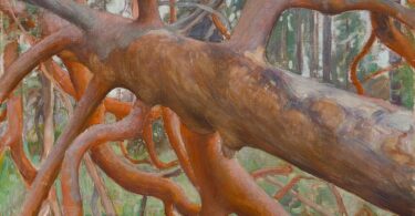 Finlande Foret - Livre