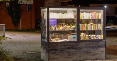 Livre Bibliothèque 2026 livres