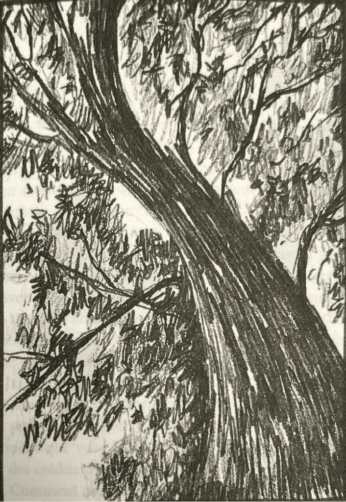 Odessa des oiseaux Sophie G.Lucas
