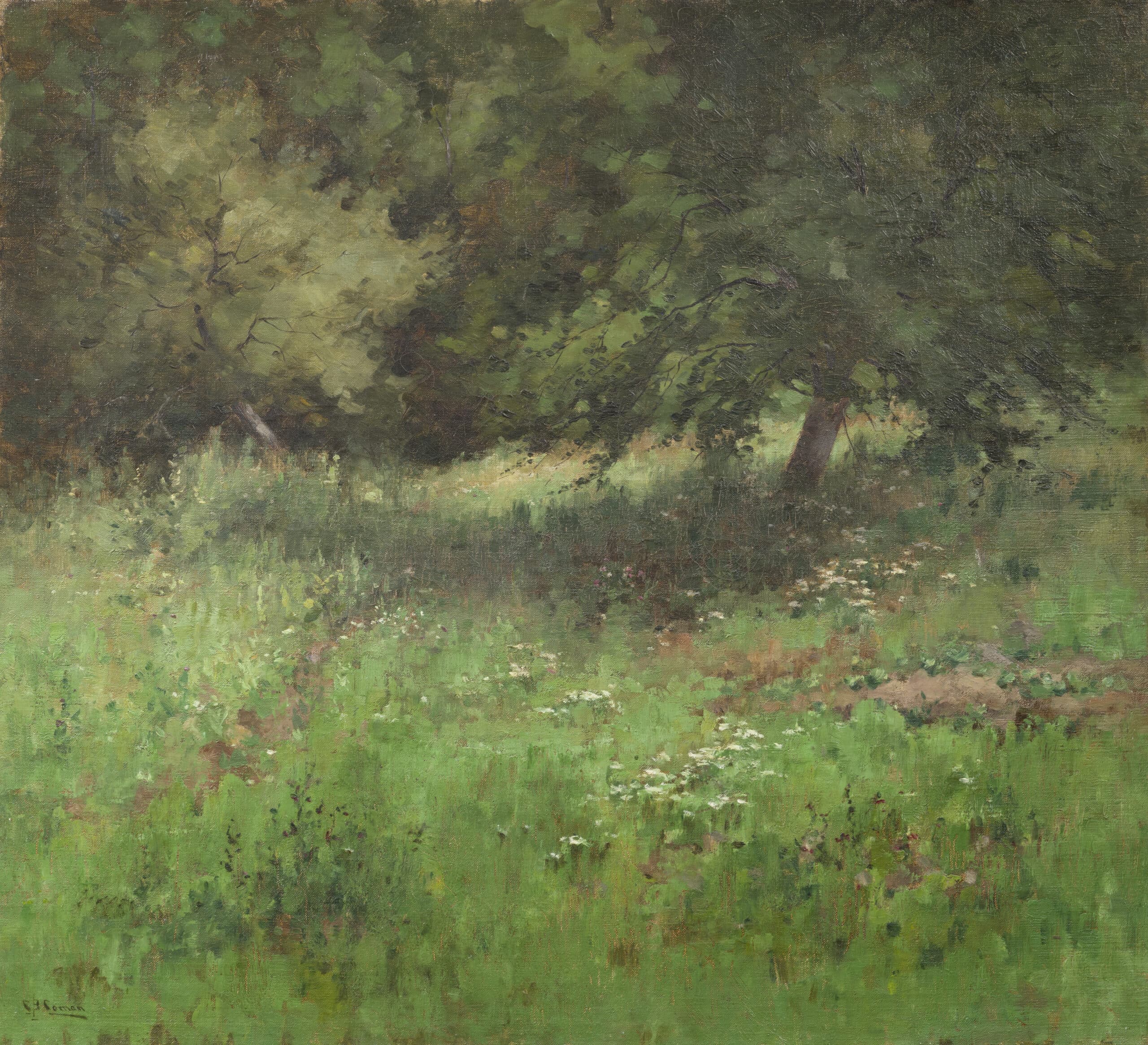La chambre fougère. Les souvenirs, les corps, les vieilles rancunes suivent le même cycle que les plantes qui traversent le roman. Céline Righi