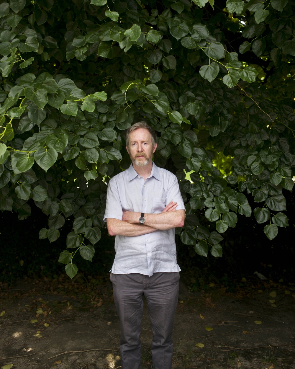 La piqure d'abeille Paul Murray